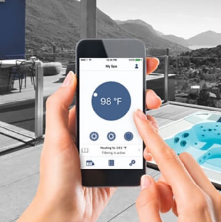 Гидромассажный спа-бассейн Wellis Vienna Life Deluxe